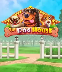 От Pragmatic Play представлен приключении The Dog House, предлагающий веселое путешествие с любимых собак. Участвуйте в функциях включая бесплатные вращения, разработанных для предоставления развлекательного геймплея. Идеально подходит для тех, кто любит легкую обстановку наряду с щедрыми наградами.