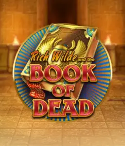 Начните захватывающий мир слота Book of Dead от Play'n GO, демонстрирующий яркую графику приключений Рича Уайлда по древнеегипетским гробницам и артефактам. Раскройте затерянные богатства с захватывающими механиками, такими как бесплатные вращения, расширяющиеся иконки и возможность игры на риск. Идеально для исследователей, желающих волнующих находок.